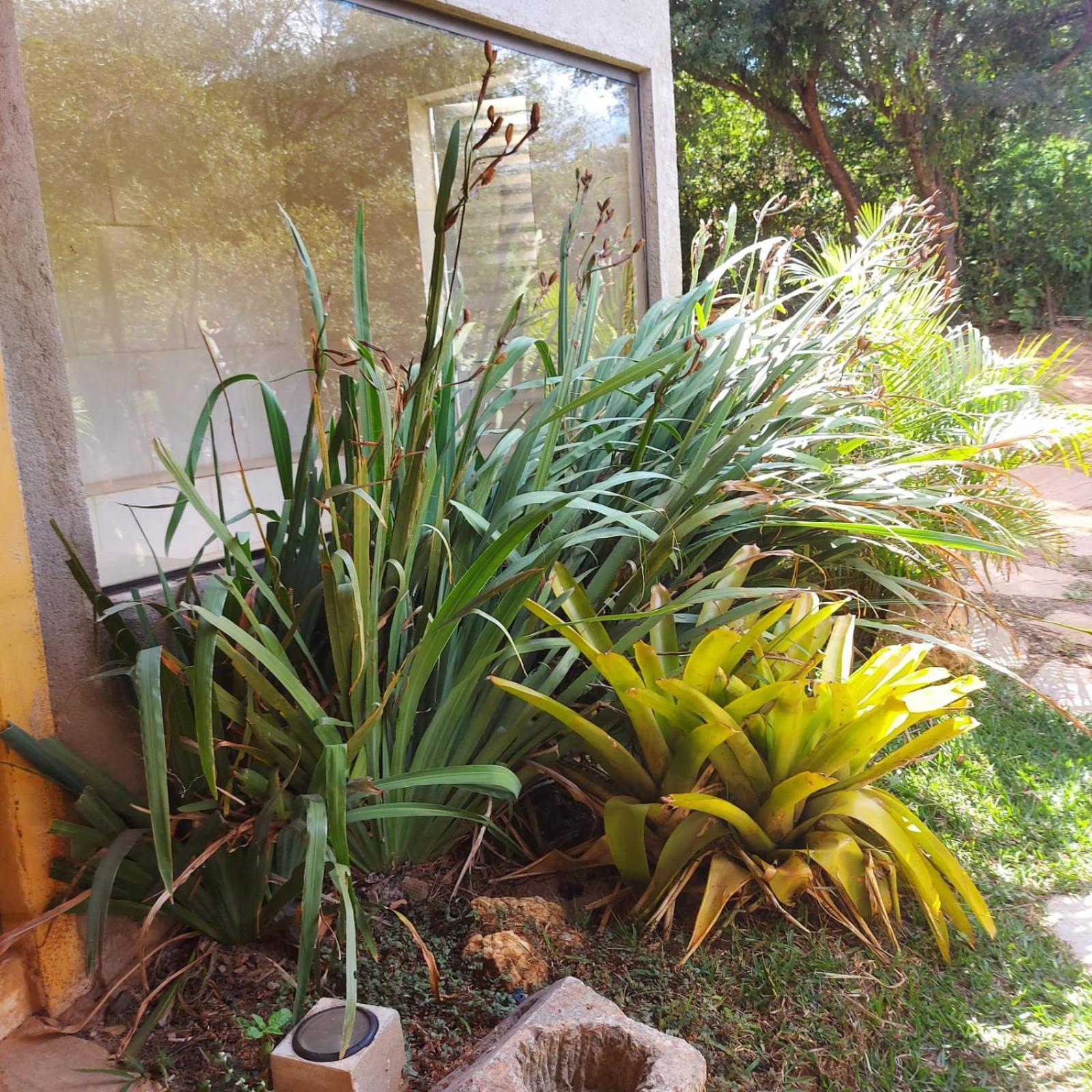 Suítes,Aparts,Chalés e casas da Praia Santana Do Riacho Exterior foto